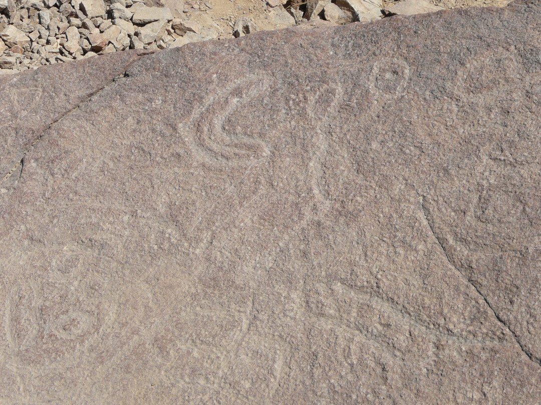 Zona Arqueológica Petroglifos de Checta景点图片