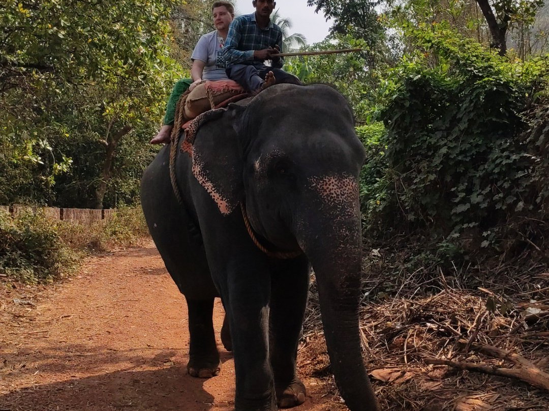 Sahyadri Spice Farm-巴德士必去景点