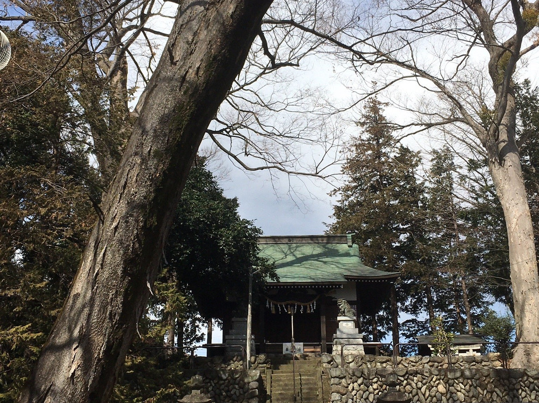Suwa Shrine景点图片