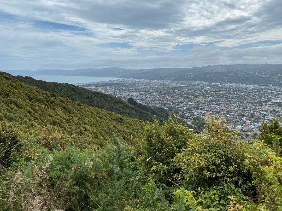 Te Whiti Riser景点图片