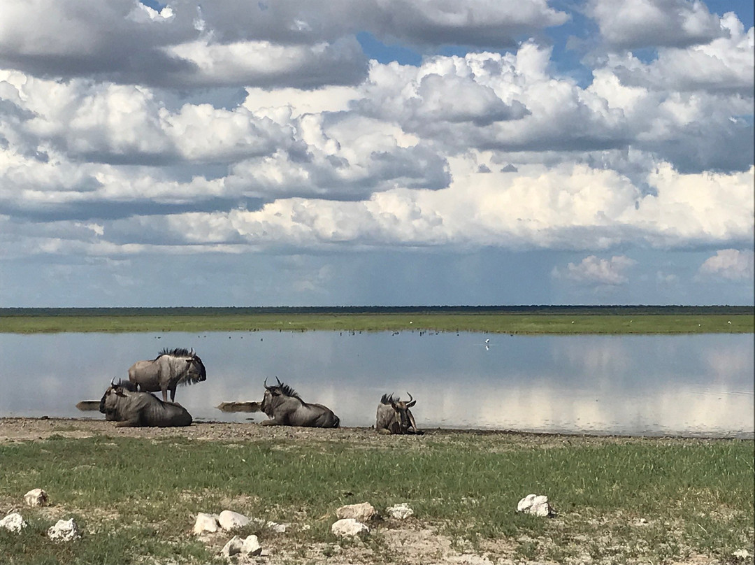 Explora Expedition-纳米比亚埃托沙国家公园必去景点