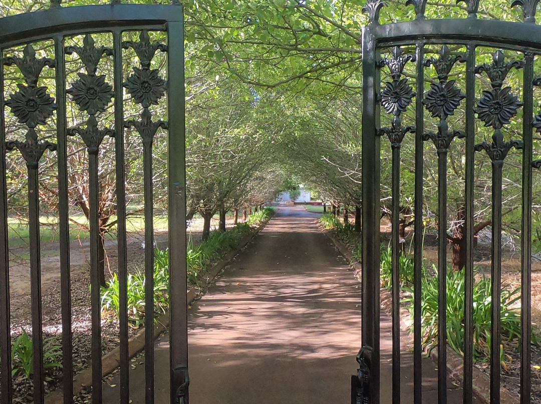 Nivalis Bed and Breakfast主图