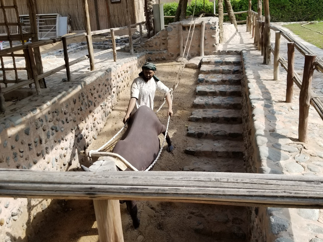 Ajman Museum-阿治曼必去景点