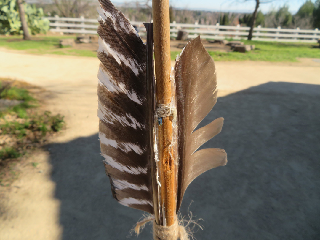 Alviso Adobe Community Park-普莱森顿必去景点
