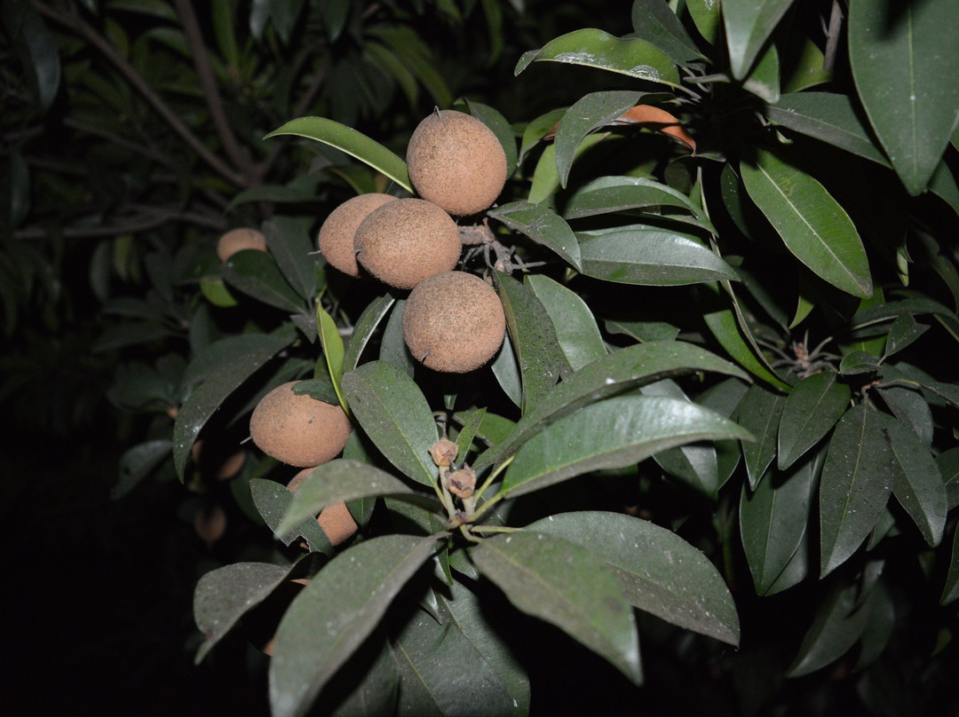 O'Nest by The Beach主图