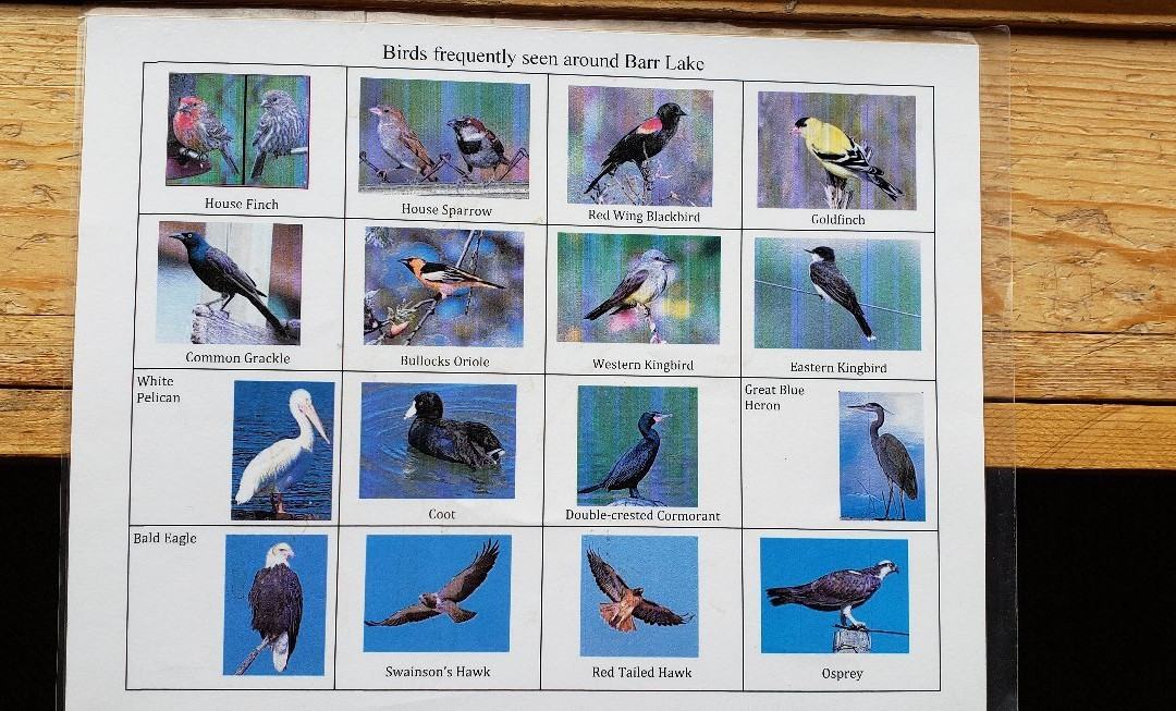 Barr Lake State Park景点图片