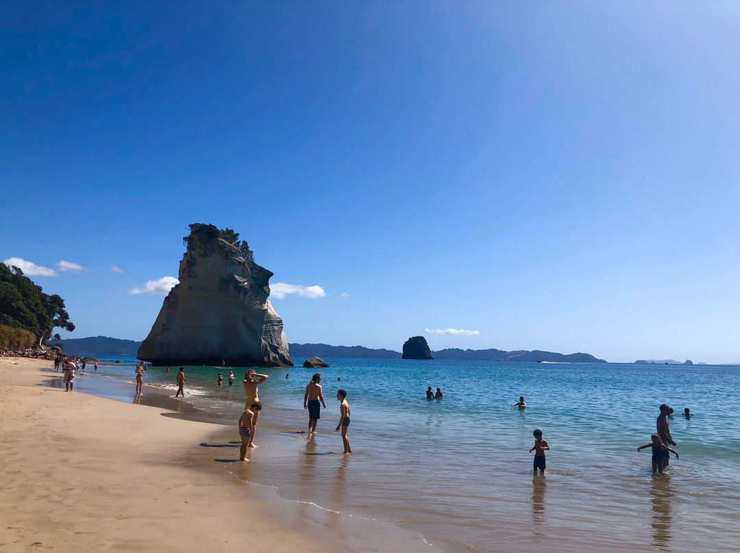 Kiwi Sights and Tours-奥克兰必去景点