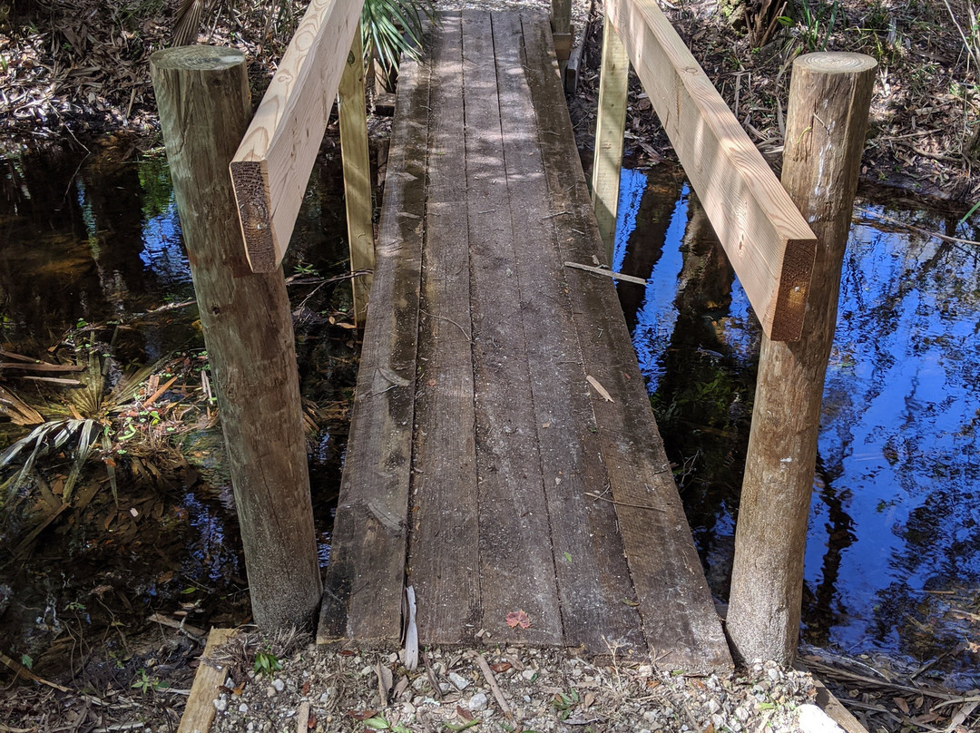 Jelks Preserve-威尼斯必去景点