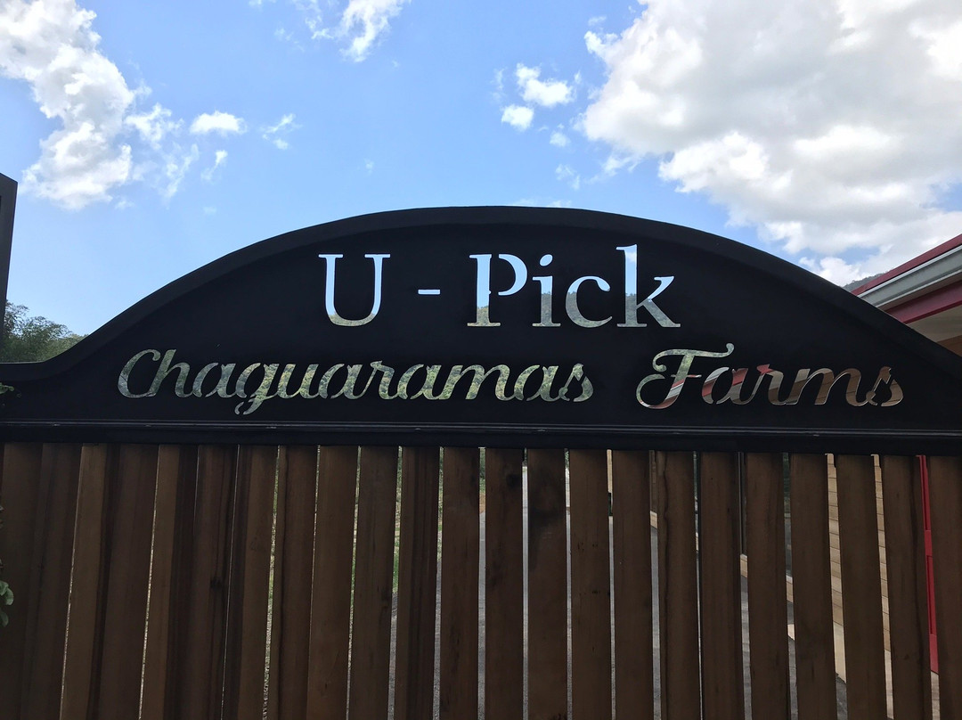 Upicktt-Chaguaramas必去景点