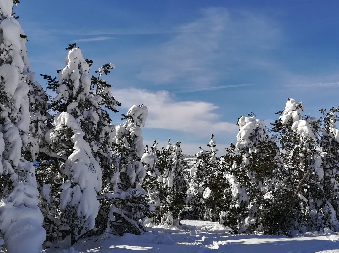Station de Ski - Font Romeu Pyrénées 2000景点图片