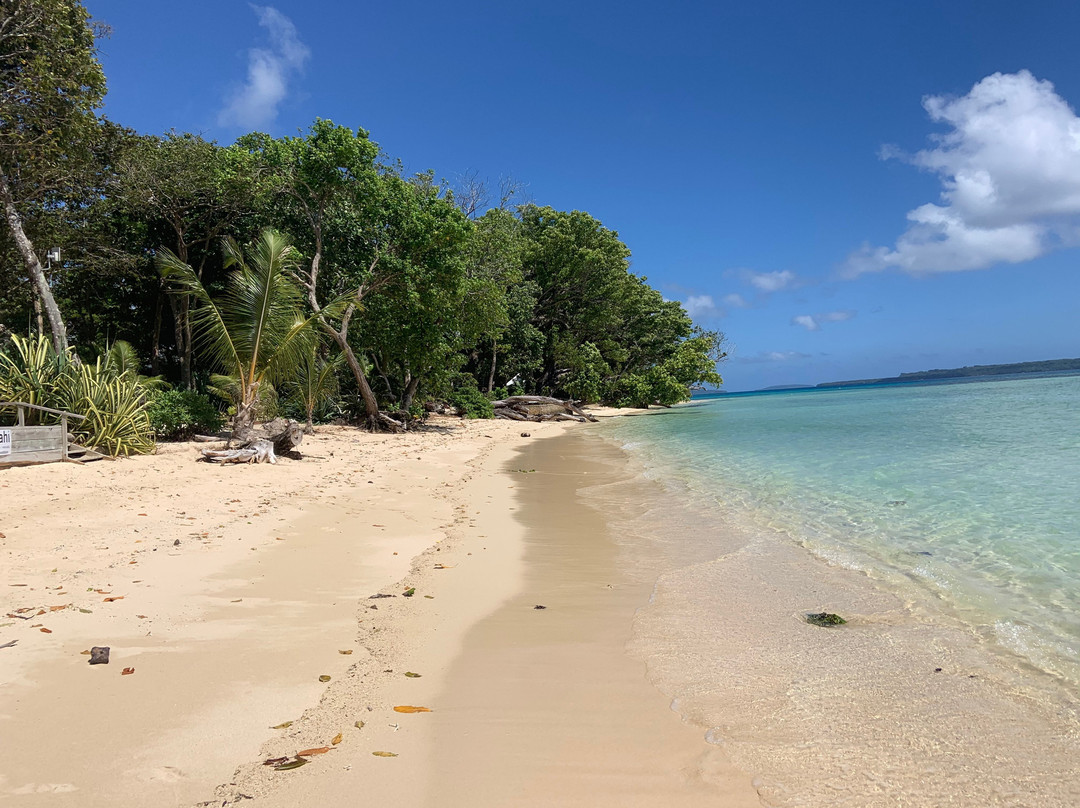 Mahi Mahi Beach Villas主图