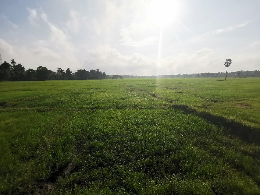 Sunshine Tourist Rest主图