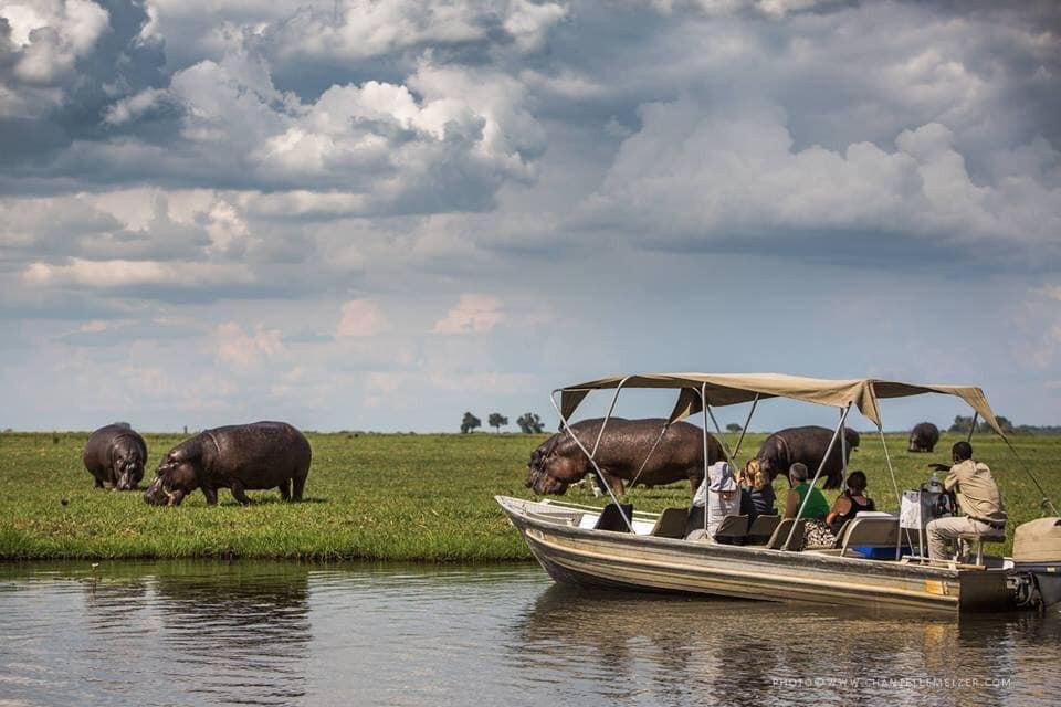 Revival Safaris and Tours