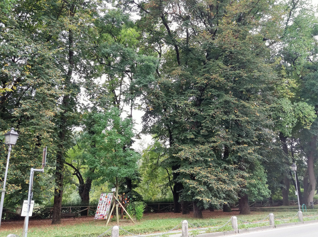 Bosco Chignolo-Triuggio必去景点