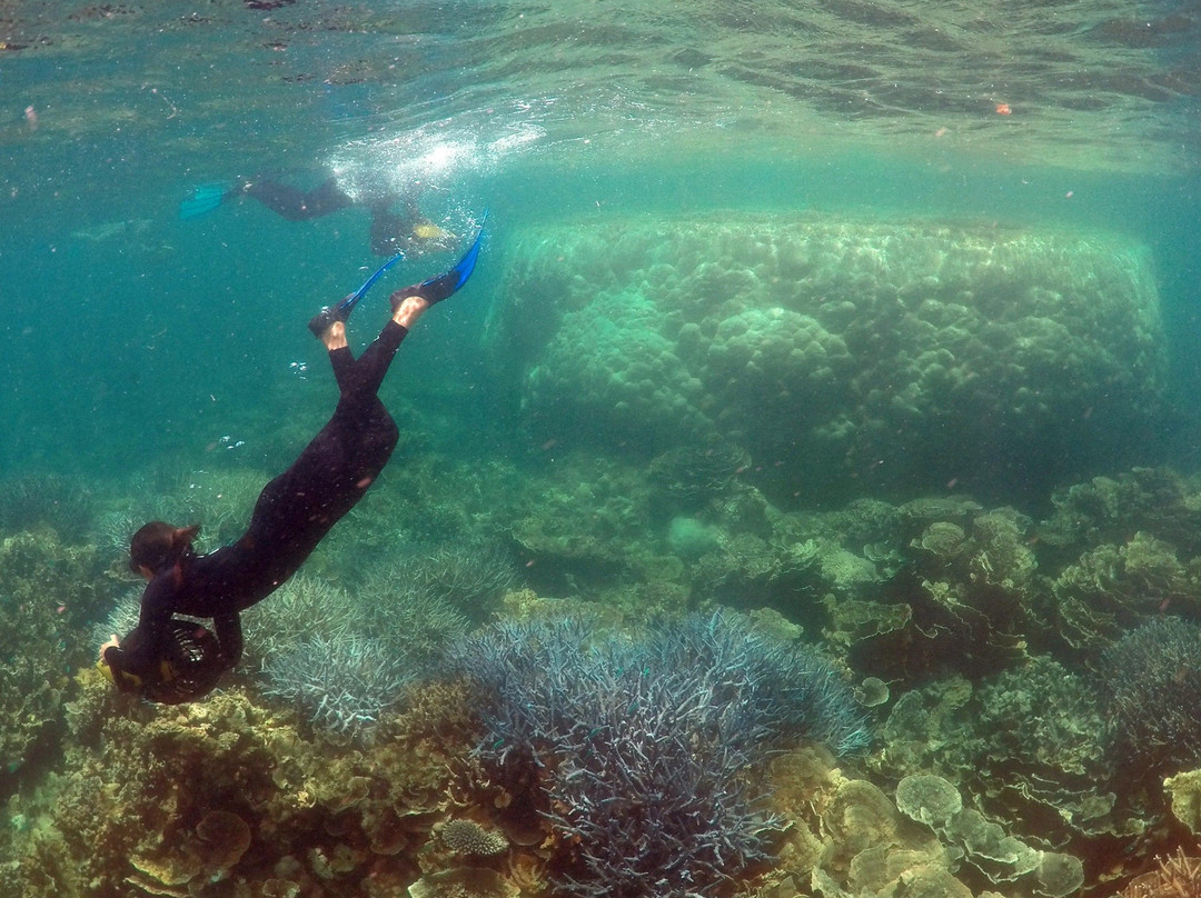 Ningaloo Kayak Adventures-珊瑚湾必去景点