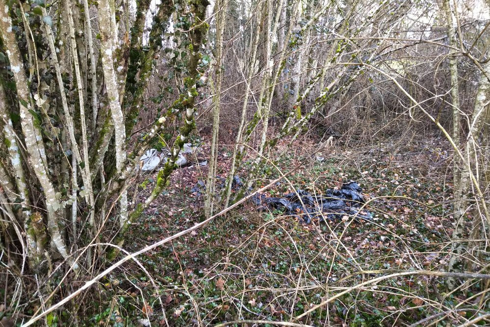 Mare de Craquenot - Espace Naturel Sensible