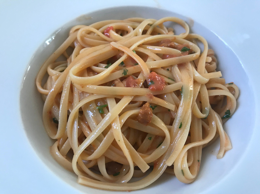 Sa Quarta Regia主图