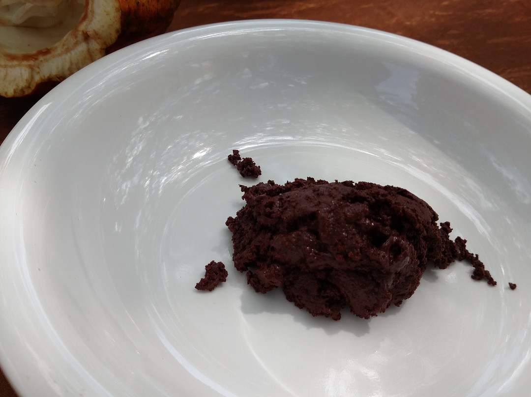 The Beach Chocolate Factory-拔西里多必去景点