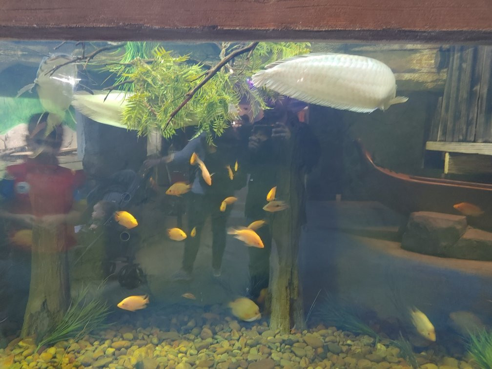 Layton Aquarium & Wildlife Encounters景点图片