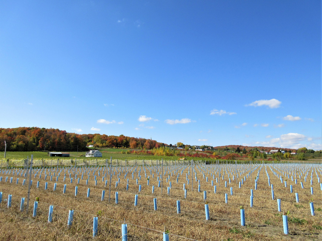 Vignoble Les Vents D'ange-Saint-Joseph-du-Lac必去景点