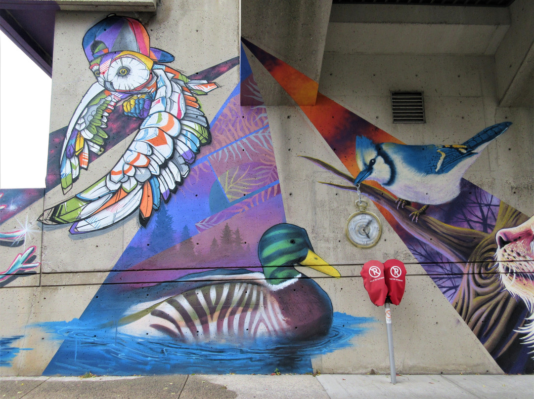 Gatineau City Hall-加蒂诺必去景点