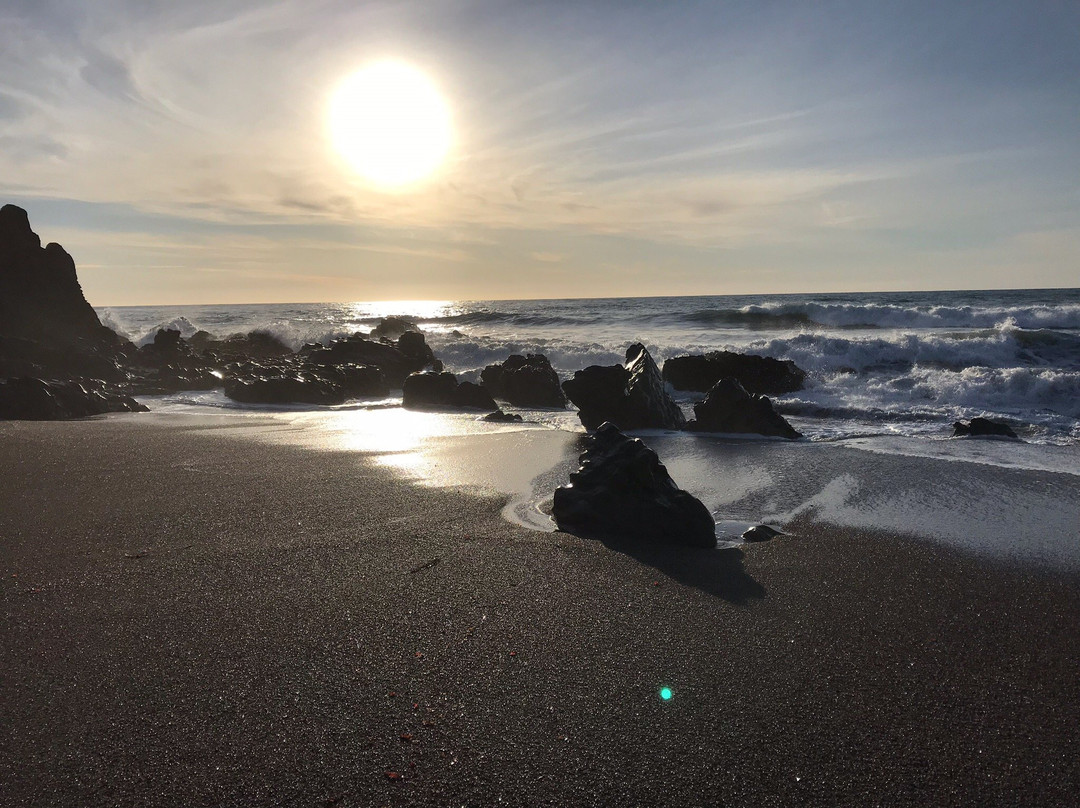 Shamel Park-坎布里亚必去景点