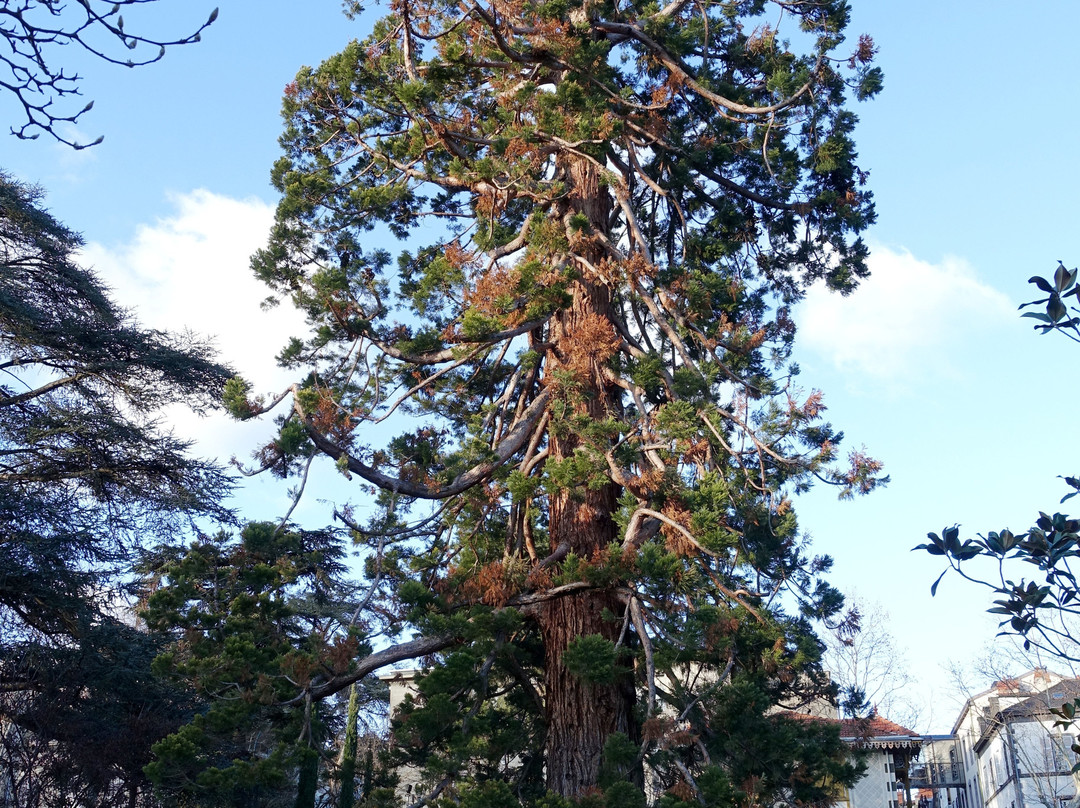 Jardin Lecoq景点图片