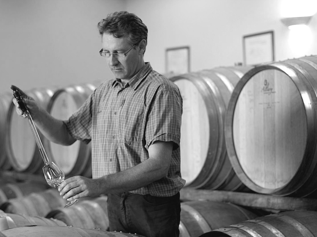 Vignobles Raguenot景点图片