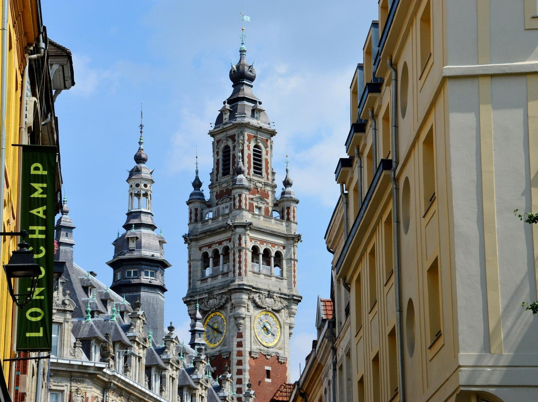 Foxie Lille | Balades ludiques, jeux de piste et activités touristiques景点图片