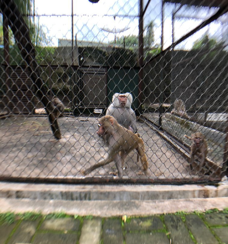 Pematang Siantar Zoo-Pematangsiantar必去景点