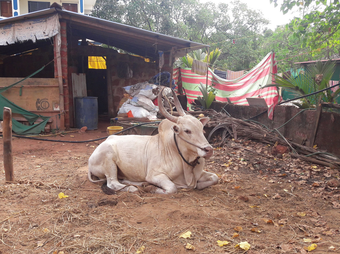 Ivon Guest House主图