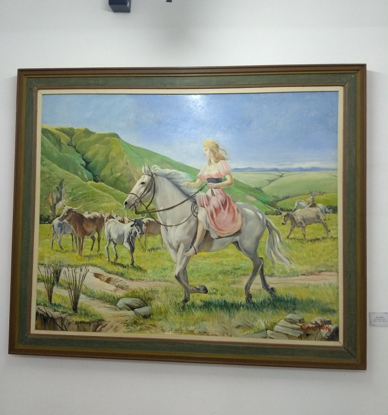 Calmon Barreto Museum景点图片