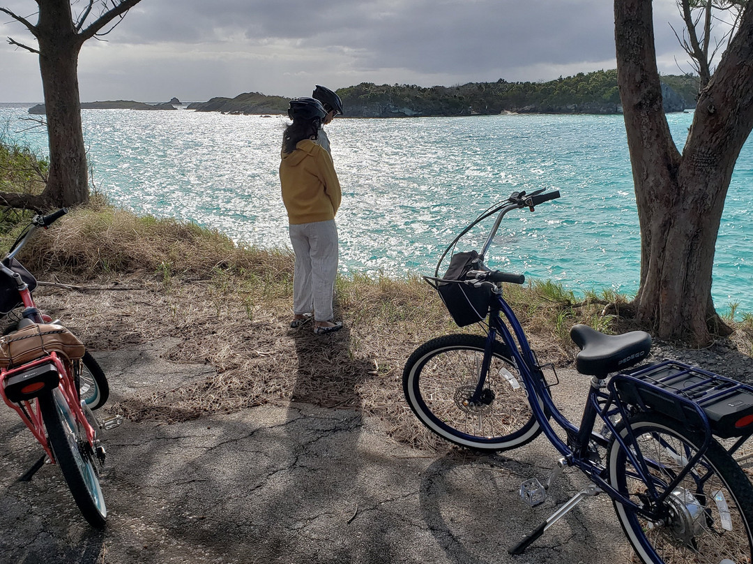 Cooper's Island Nature Reserve-百慕大必去景点