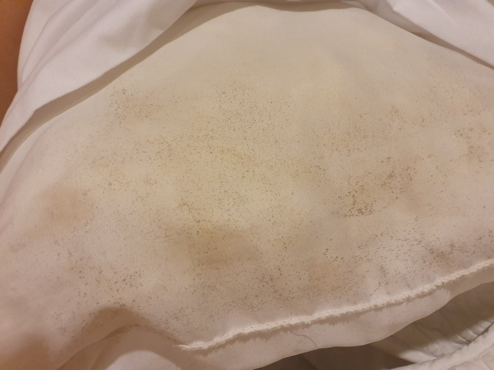 Hotel Playa Westfalia主图