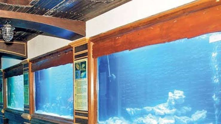 Jagdishchandra Bose Aquarium景点图片