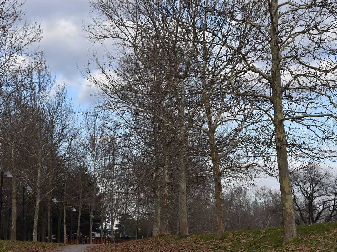 Parco della Magana景点图片