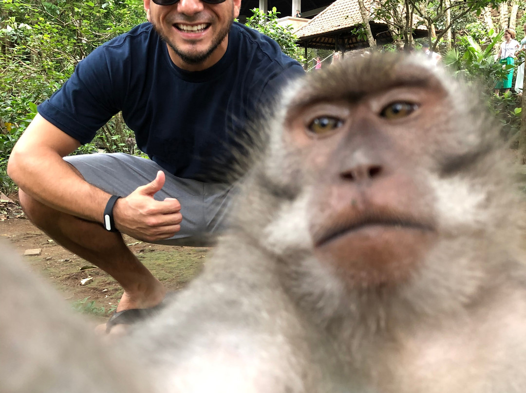 Casta Bali Driver-乌布必去景点