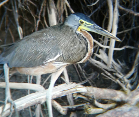 Orly Tours-塔马林多必去景点