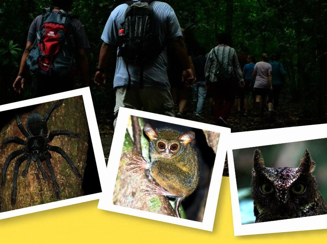 Tangkoko Guide Tour