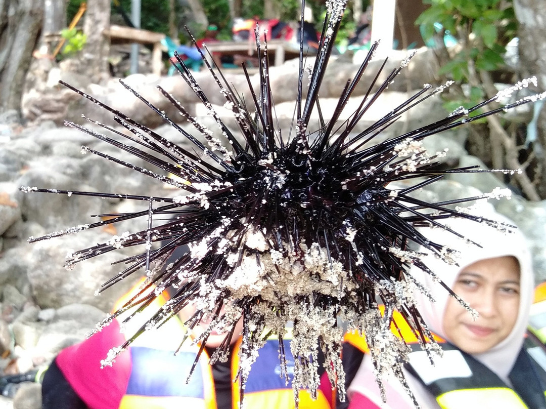 Rubiah Island-Sabang必去景点