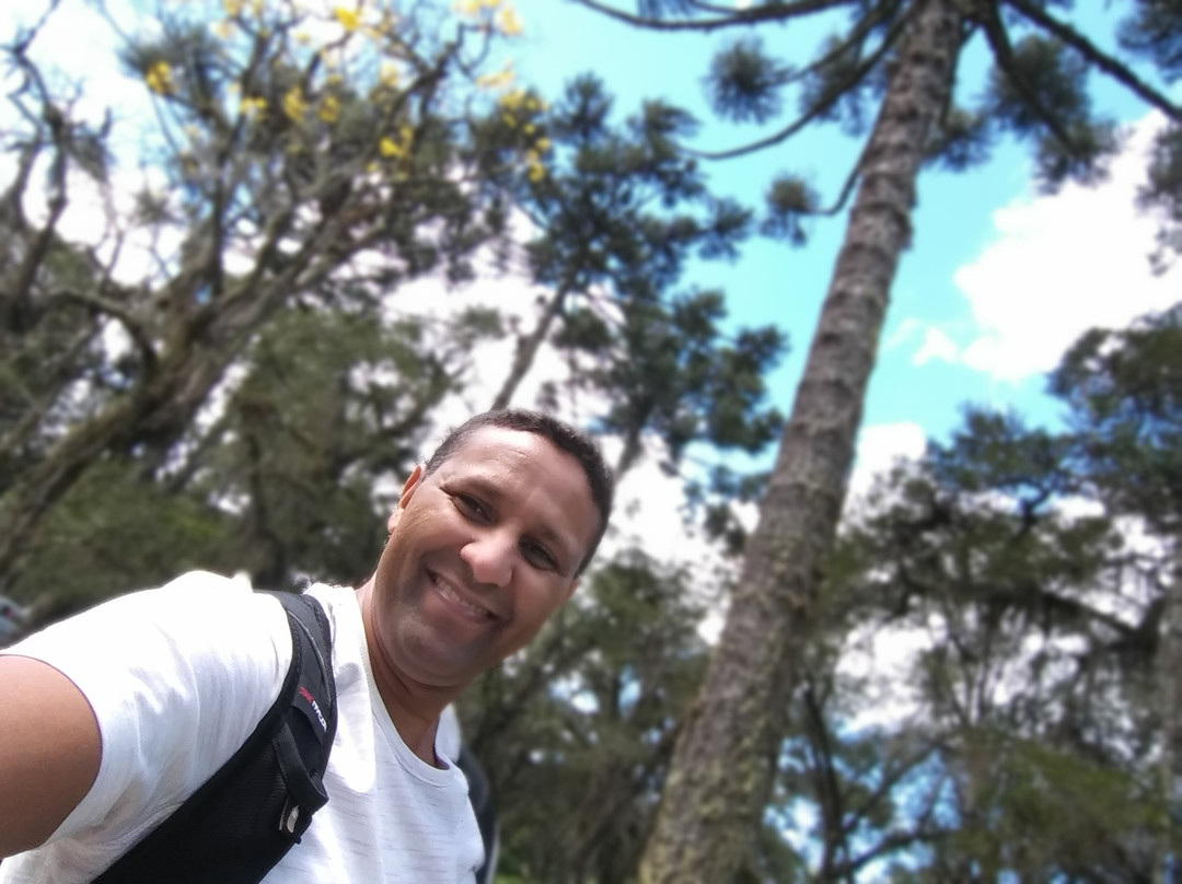 Parque das Sequoias景点图片