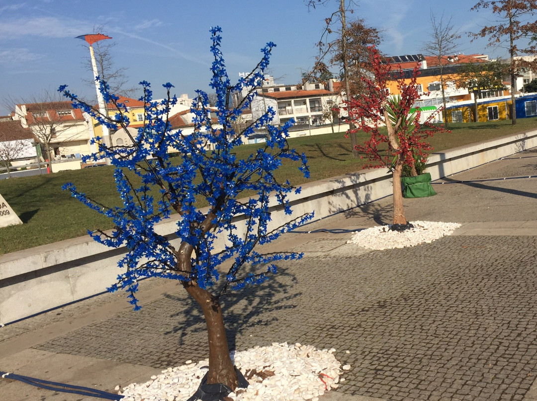 Jardim do Largo 1 de Maio景点图片