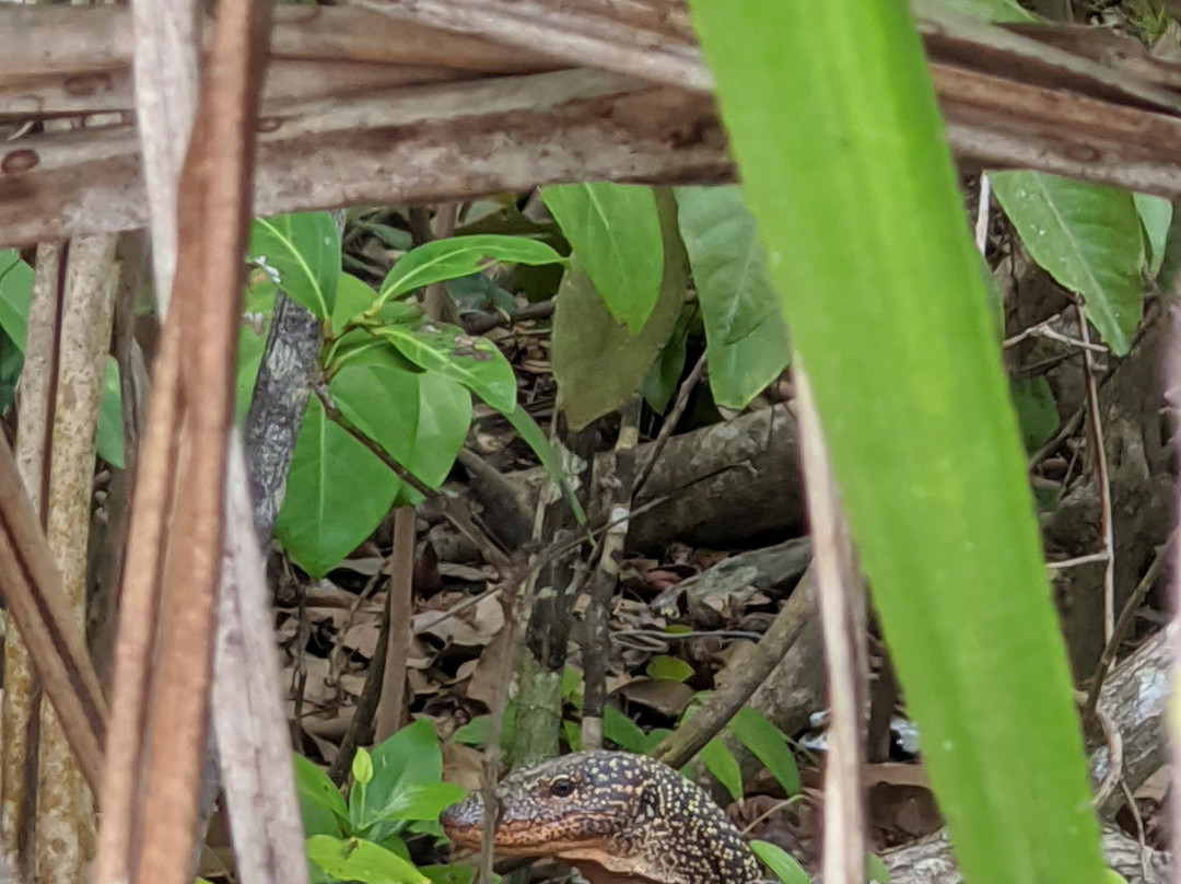 拉贾安帕特群岛-索龙必去景点