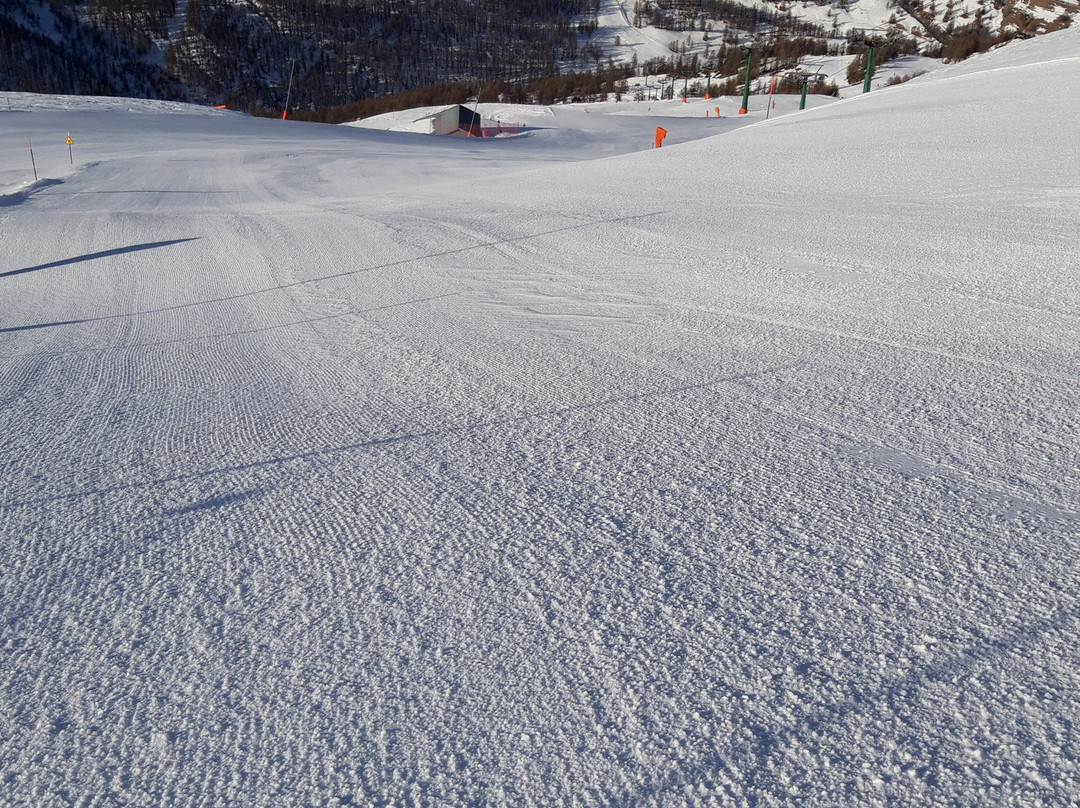 Tana Della Volpe主图