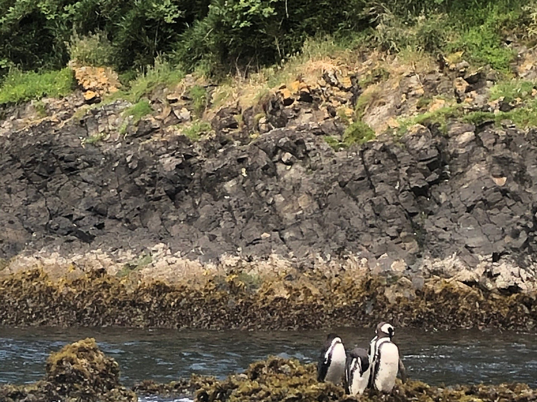 Turismo Condor Andino-蒙特港必去景点