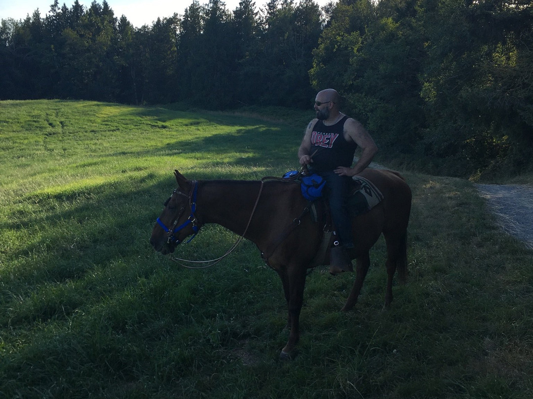 Aldergrove Park-Aldergrove必去景点