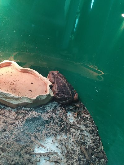 Aquario Marinho-巴拉那瓜必去景点