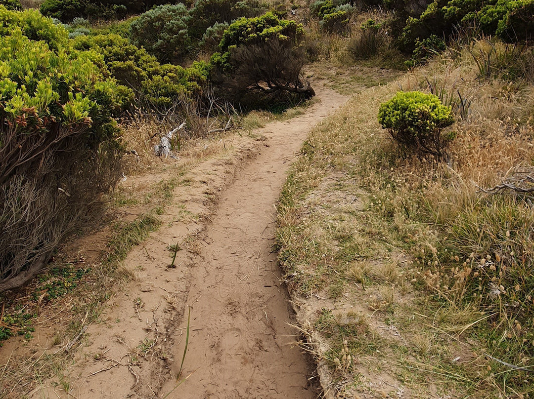 Secret Apostles Lookout