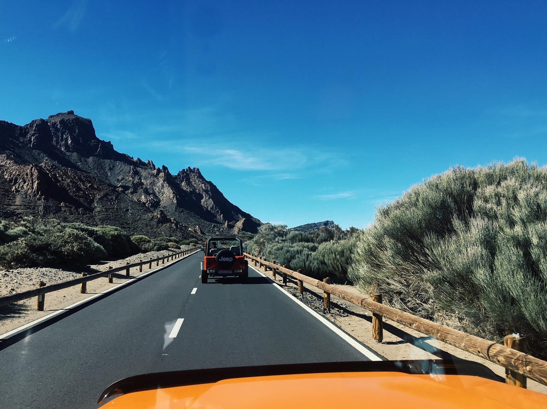 Buggy Quad Tenerife-美洲海滩必去景点