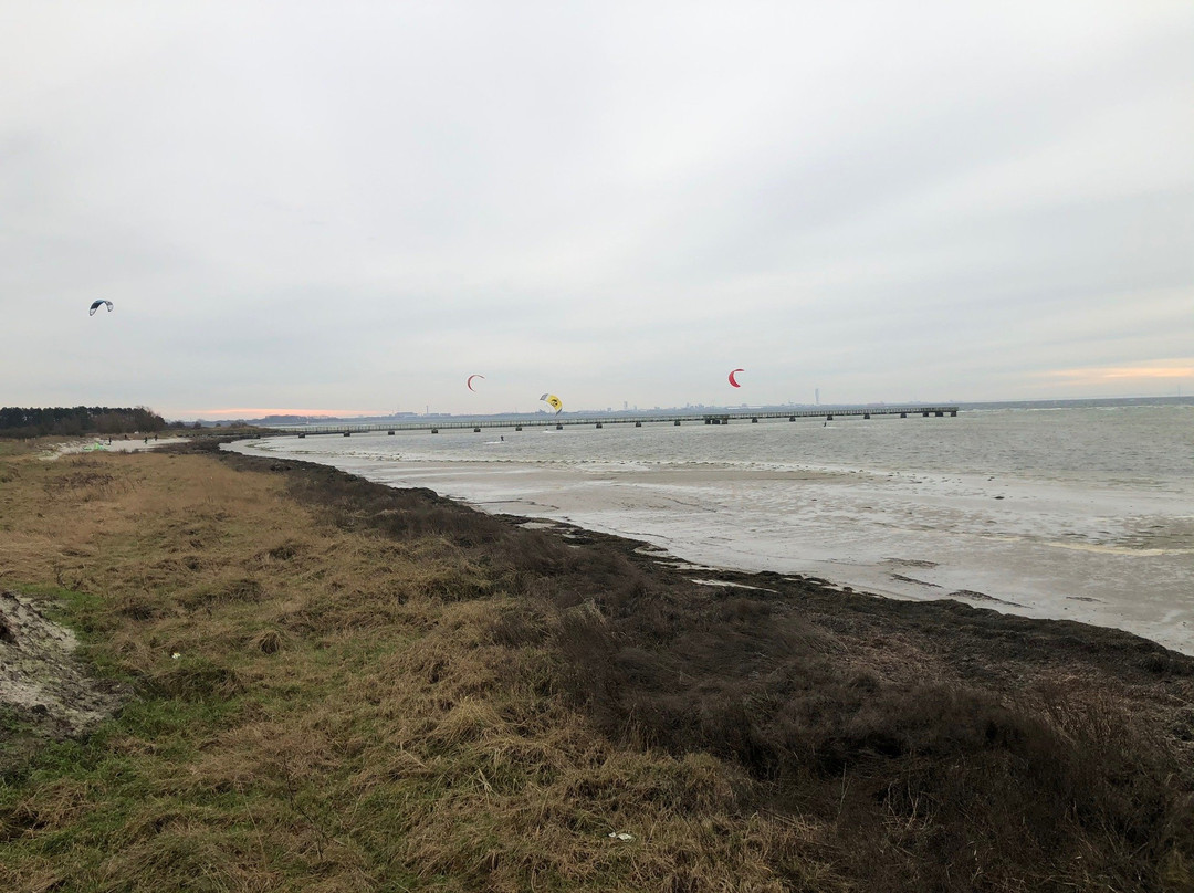 Bjarred Beach景点图片